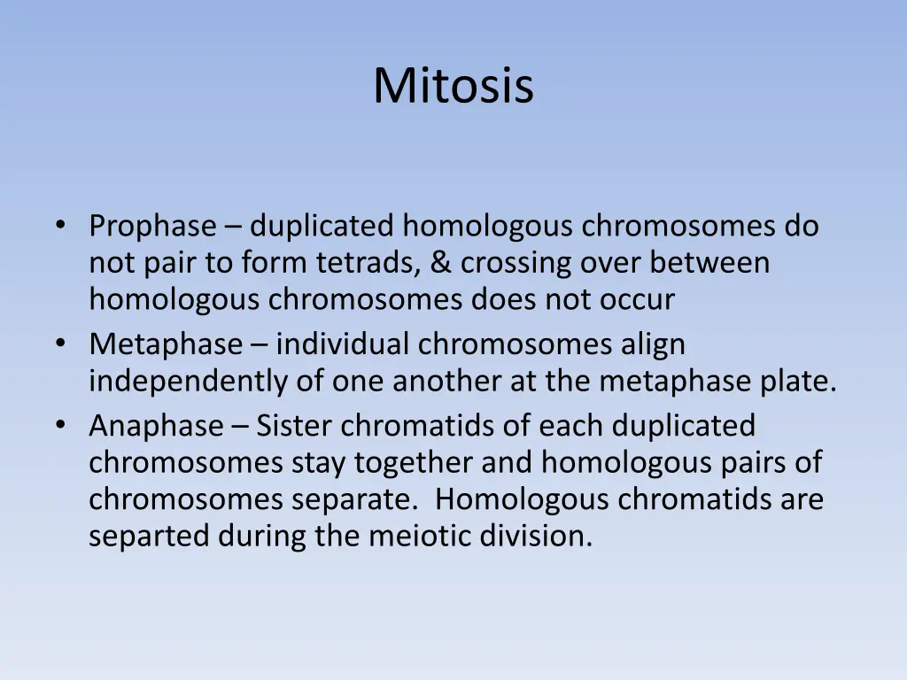 mitosis