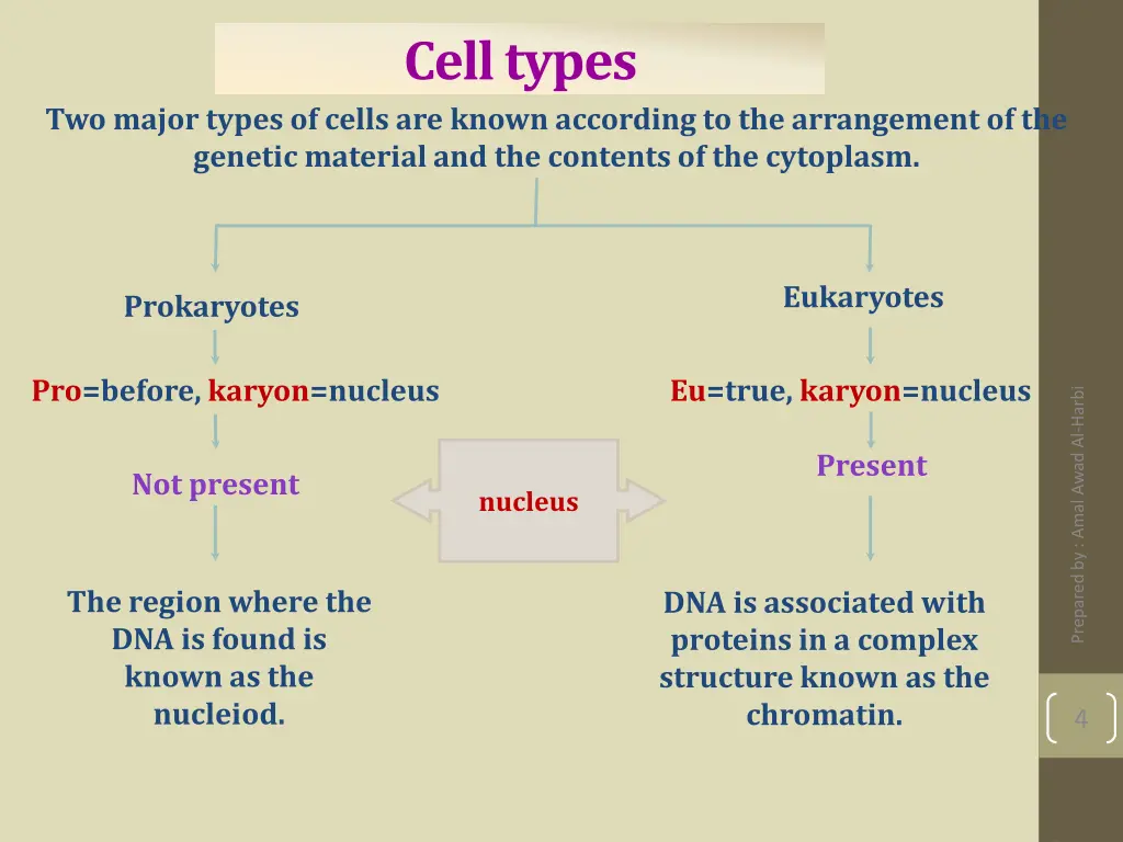 cell types