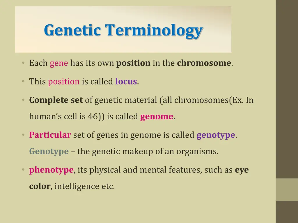 chromosome genetic terminology