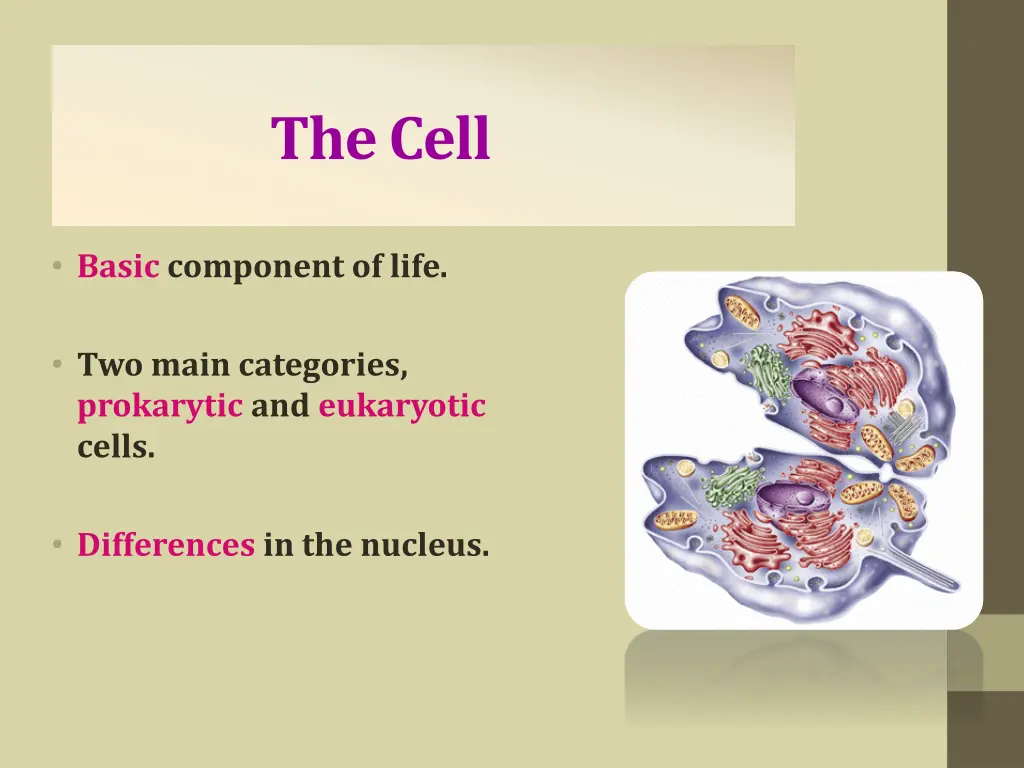 the cell