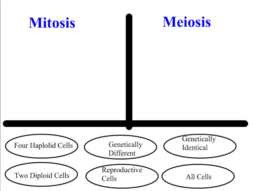 slide21