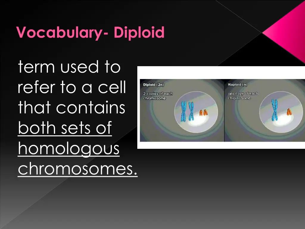 vocabulary diploid