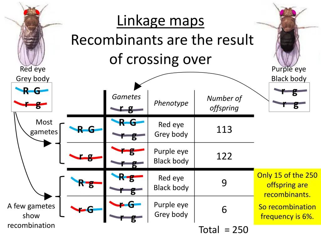 linkage maps 1