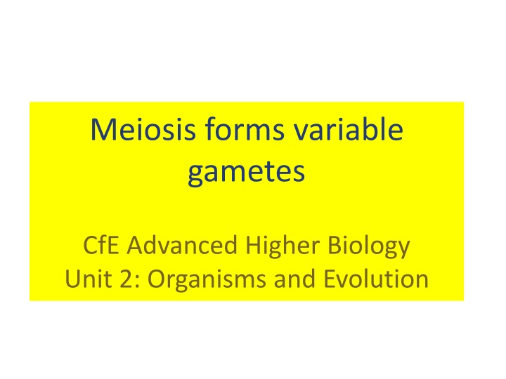 meiosis forms variable gametes