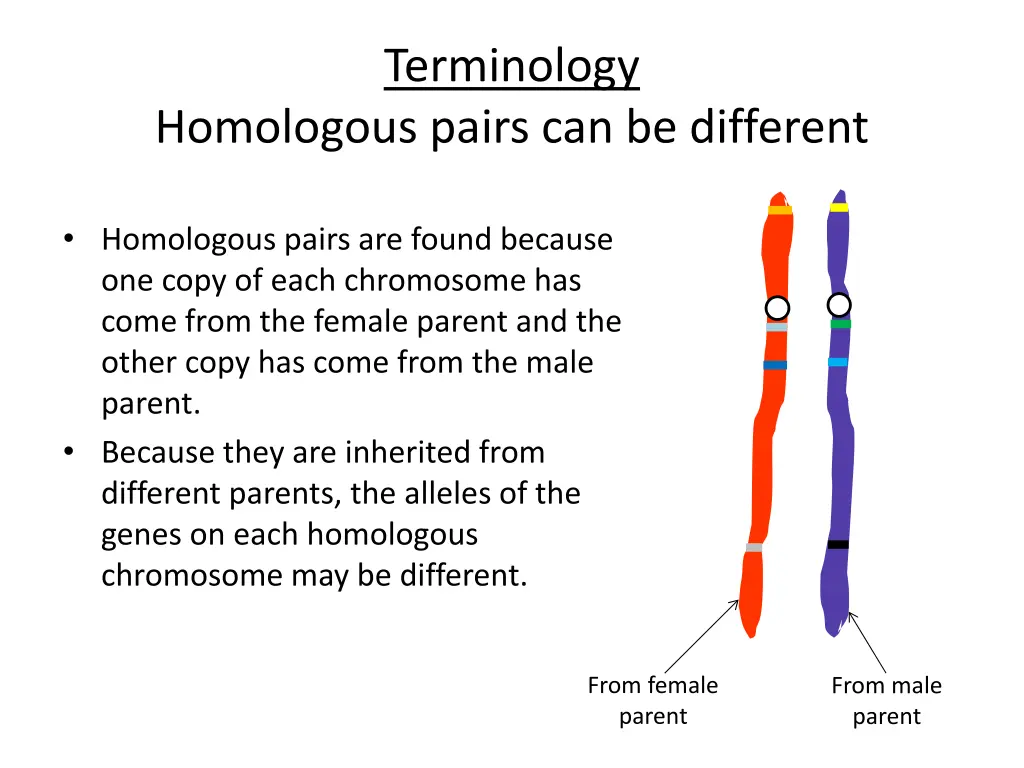 terminology 1