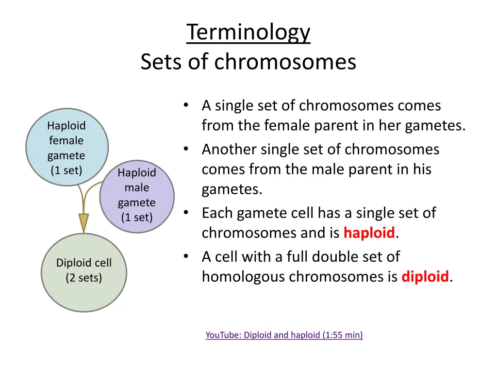 terminology sets of chromosomes