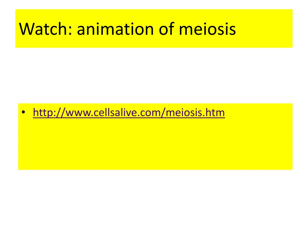 watch animation of meiosis