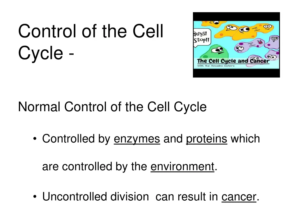 the cell cycle and cancer