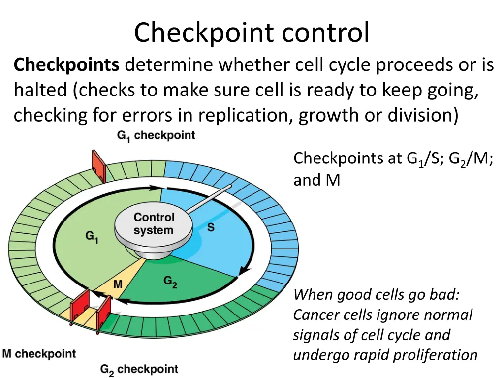 checkpoint control