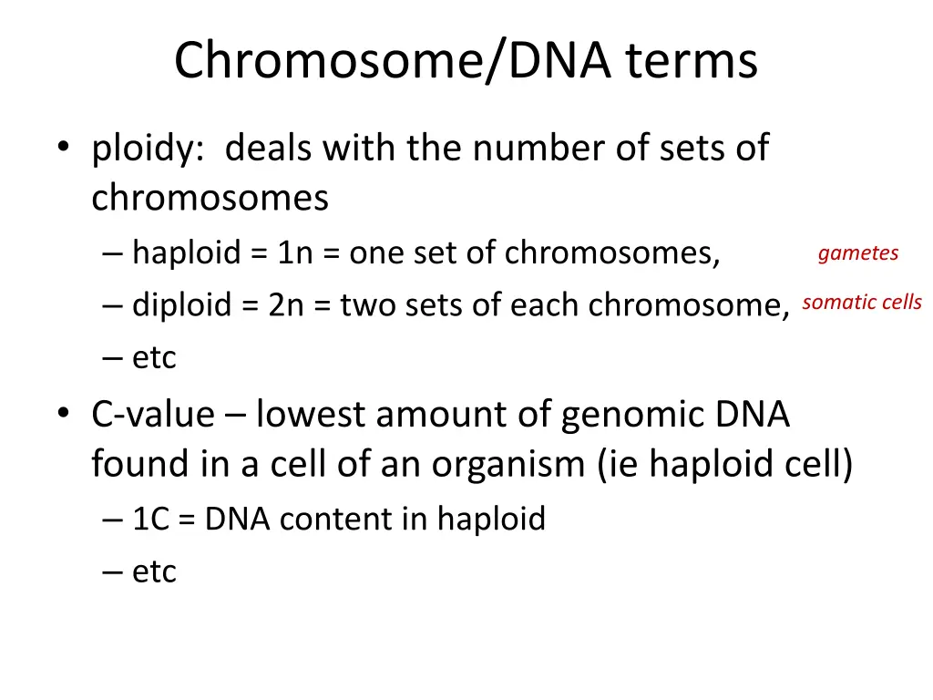 chromosome dna terms