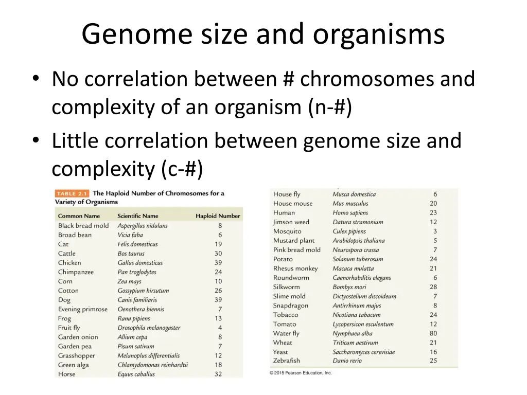 genome size and organisms