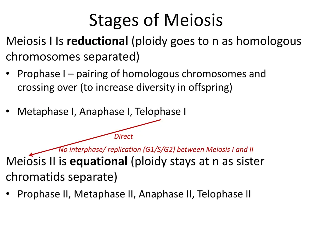 stages of meiosis