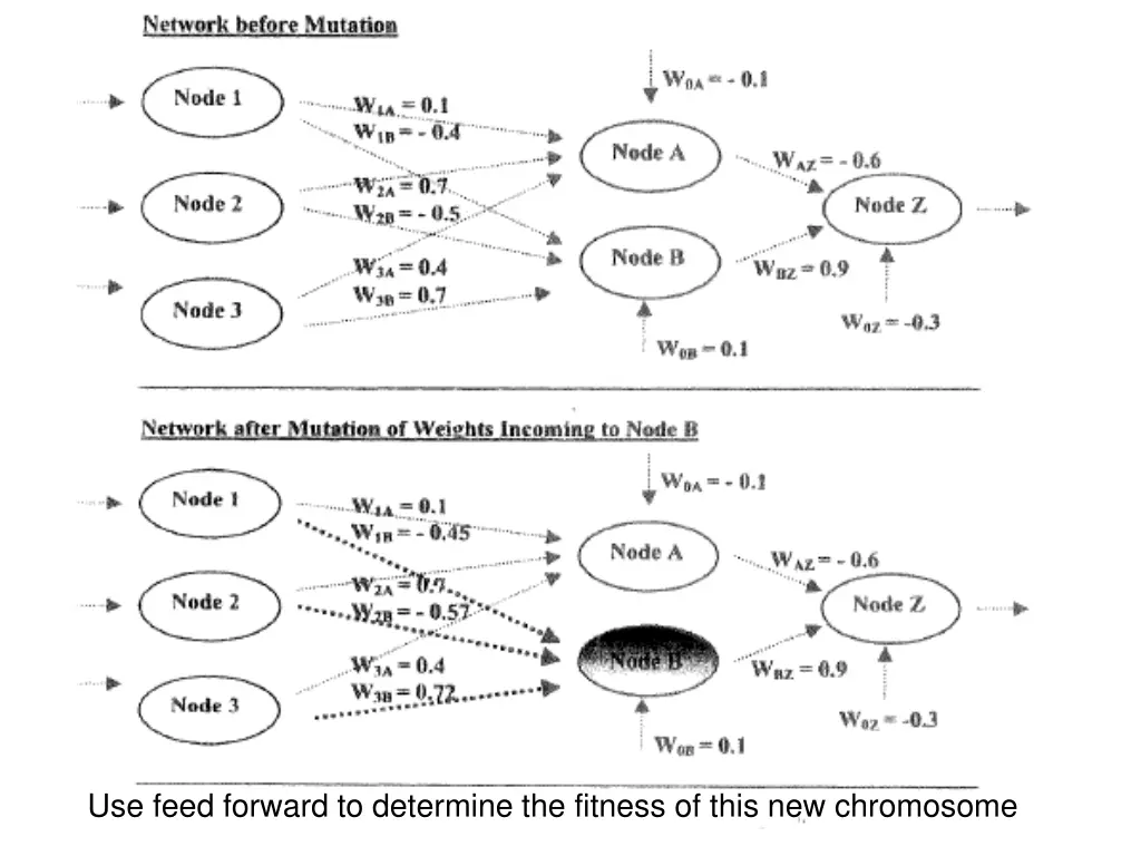 use feed forward to determine the fitness of this 1