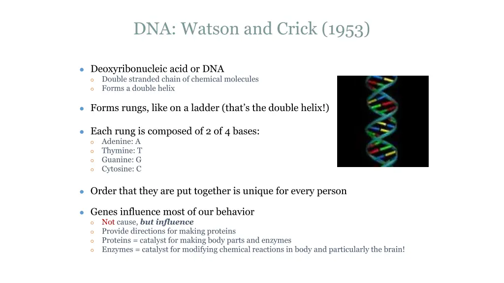 dna watson and crick 1953