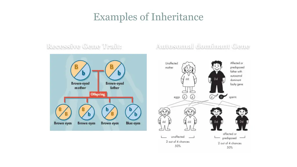 examples of inheritance