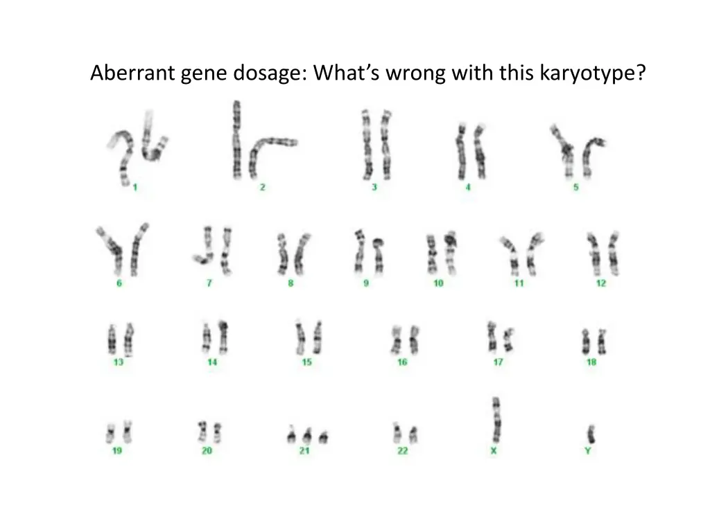 aberrant gene dosage what s wrong with this