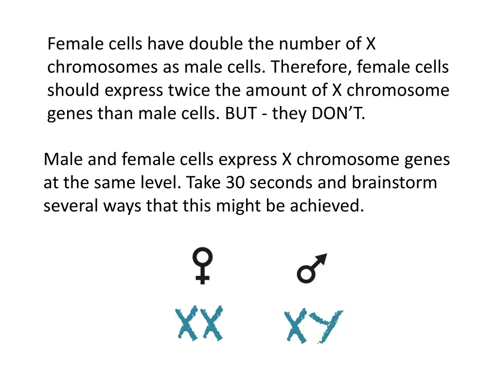 female cells have double the number