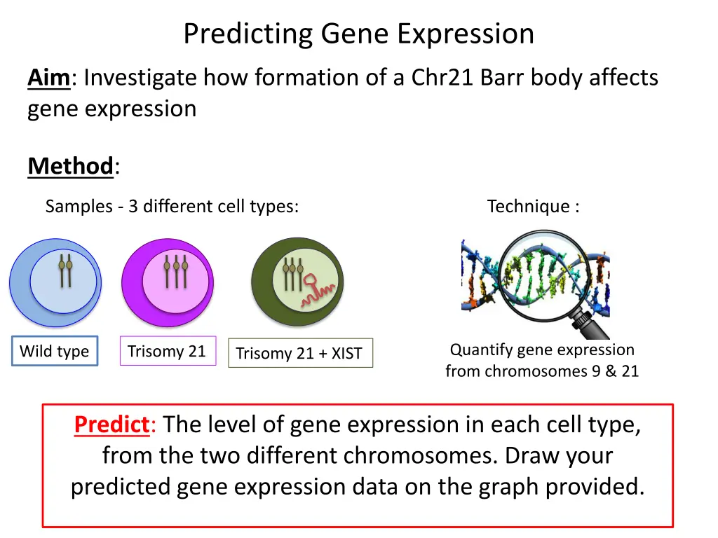 predicting gene expression