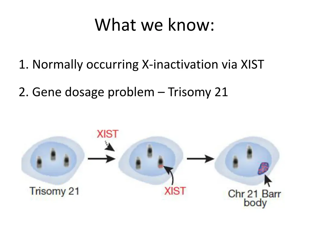 what we know