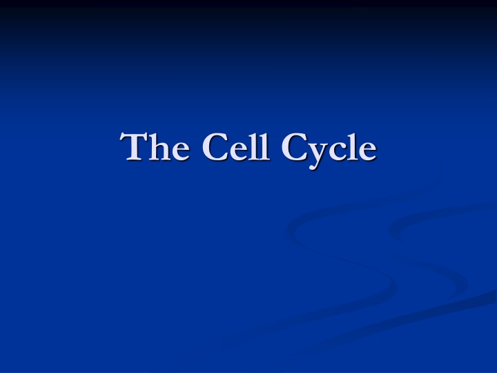 the cell cycle