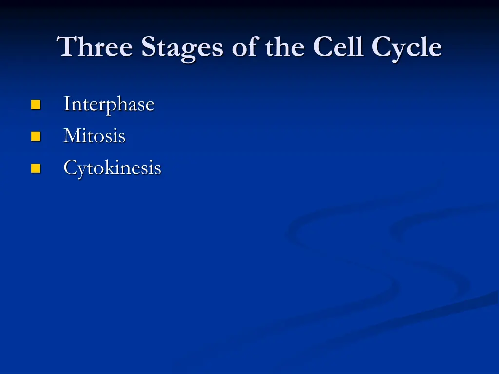 three stages of the cell cycle