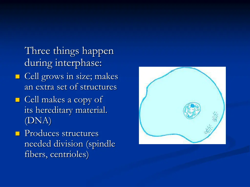 three things happen during interphase cell grows