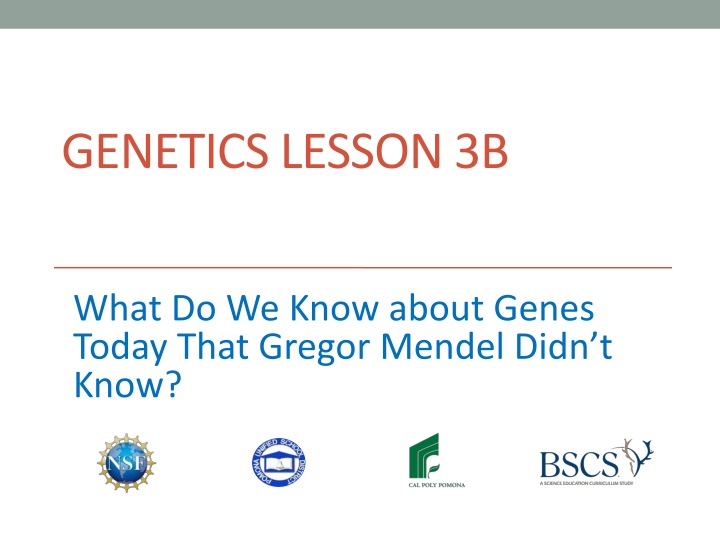 genetics lesson 3b