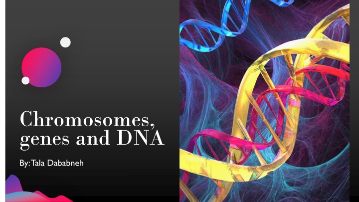 chromosomes genes and dna