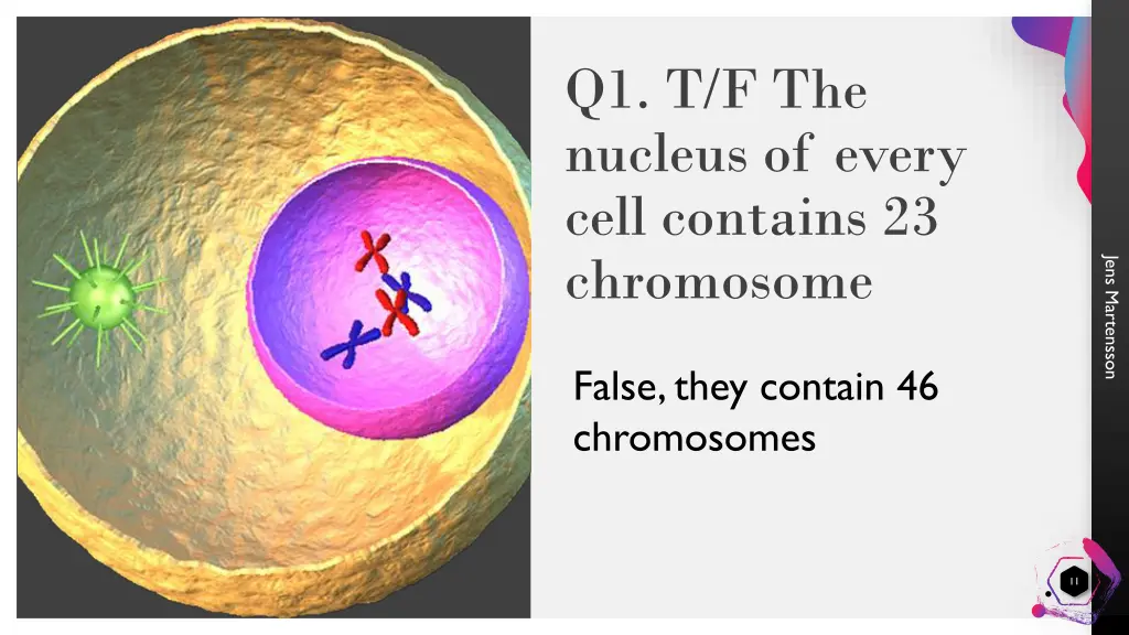 q1 t f the nucleus of every cell contains