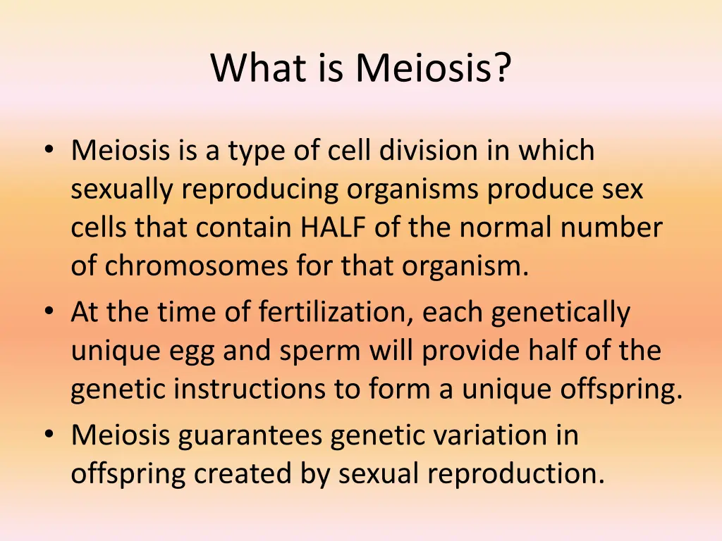 what is meiosis