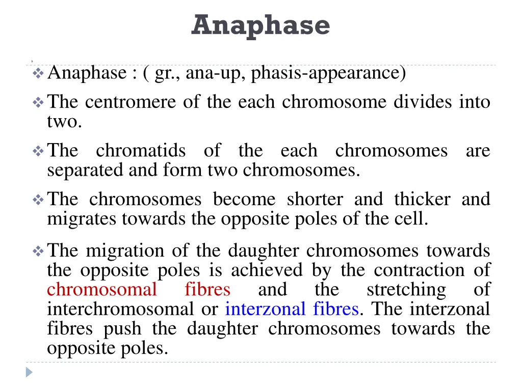 anaphase