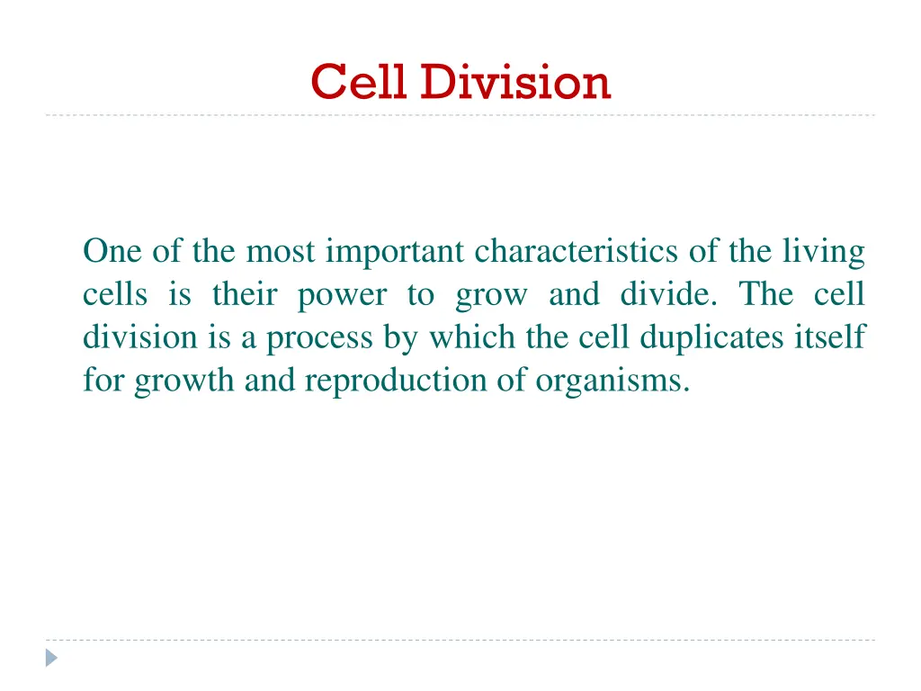 cell division 1