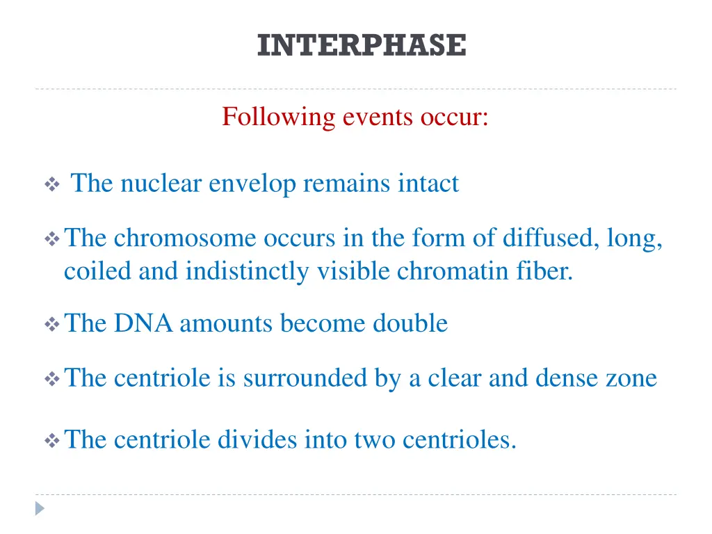 interphase 2