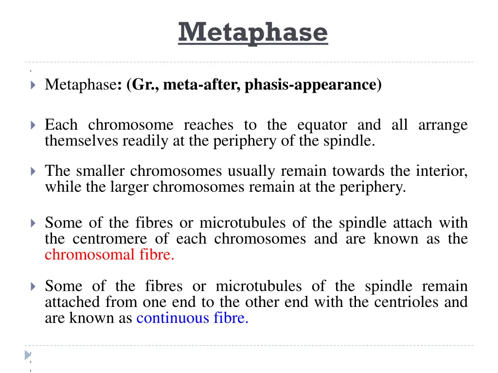 metaphase