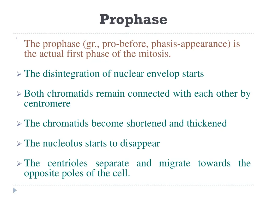 prophase