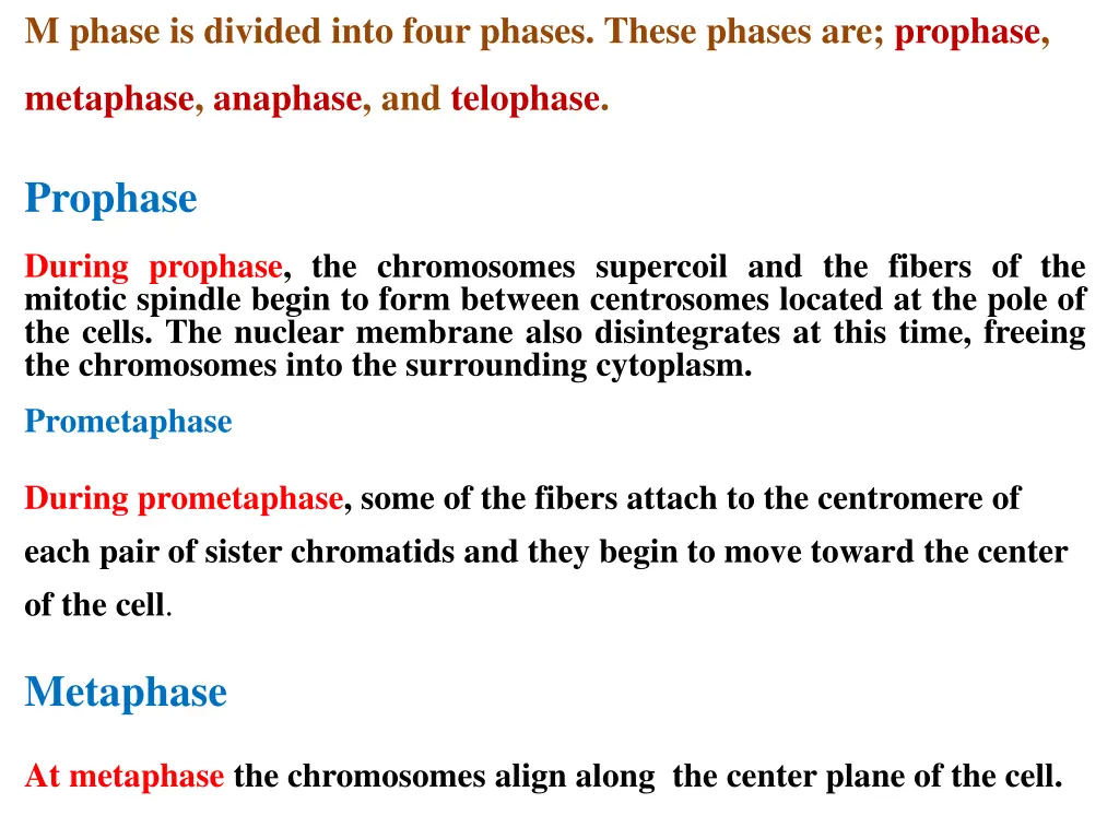 m phase is divided into four phases these phases