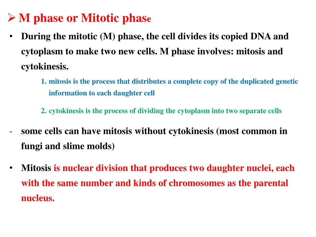 m phase or mitotic phas e