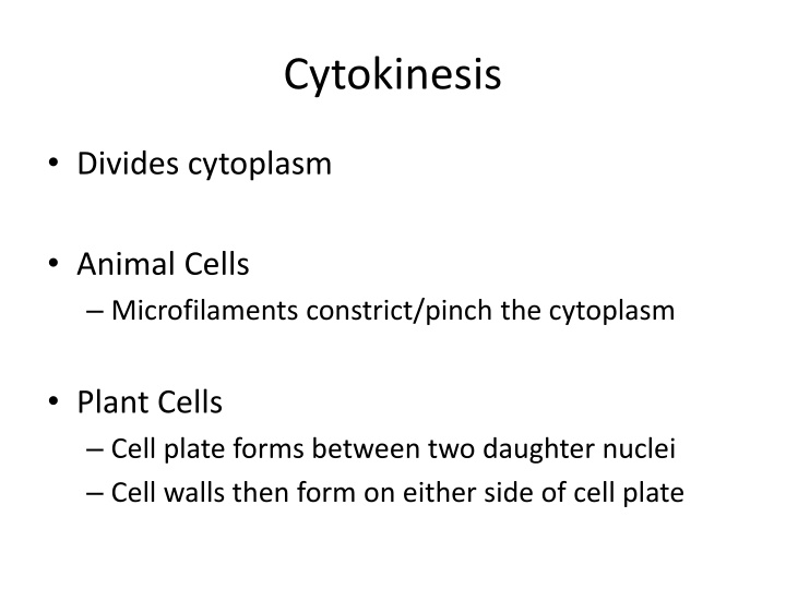 cytokinesis