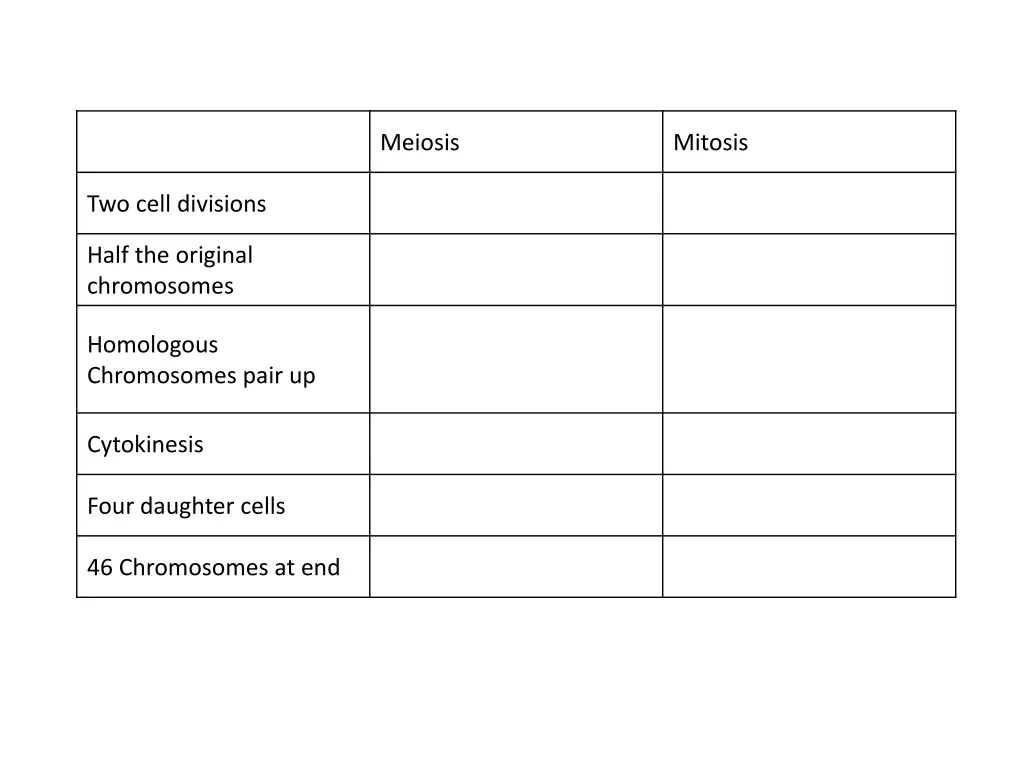 meiosis 2