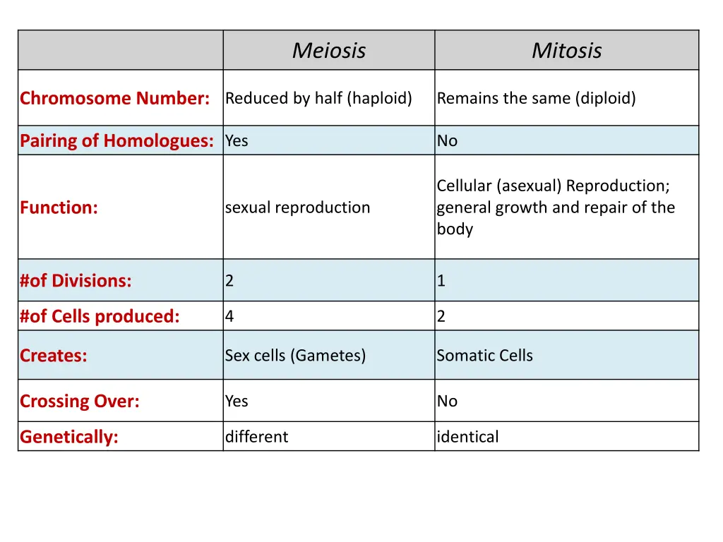 meiosis 3