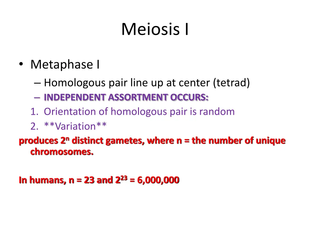 meiosis i 1