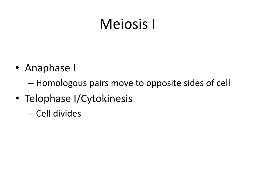 meiosis i 2