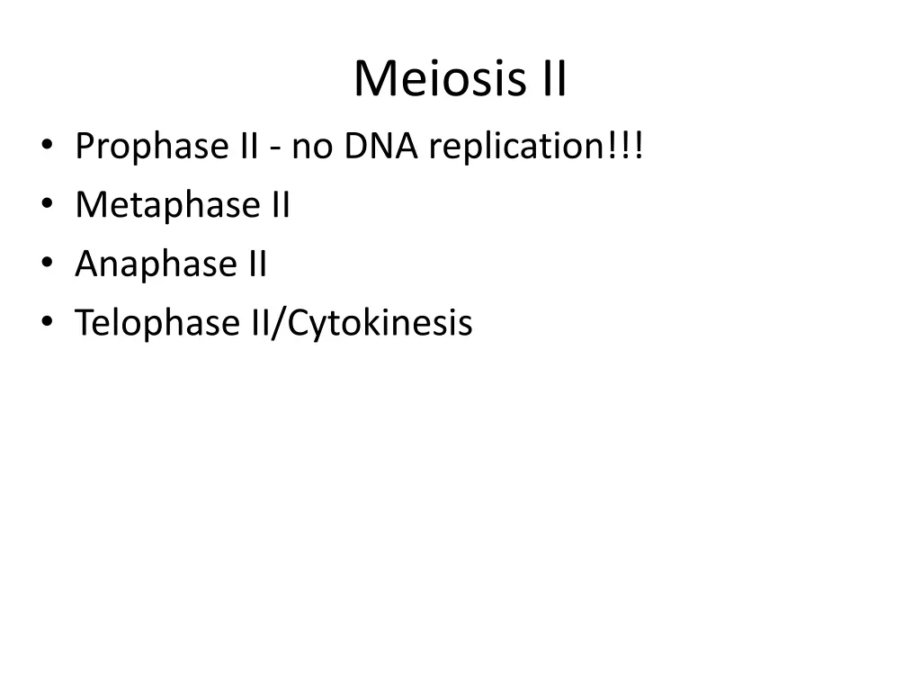 meiosis ii