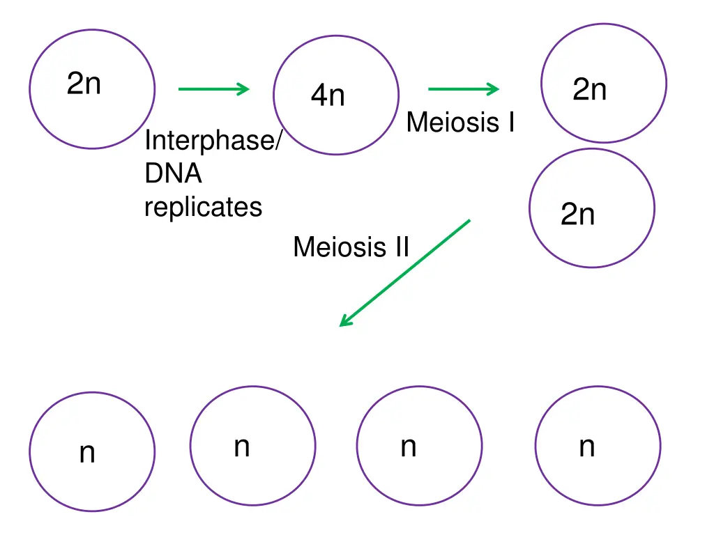 slide15