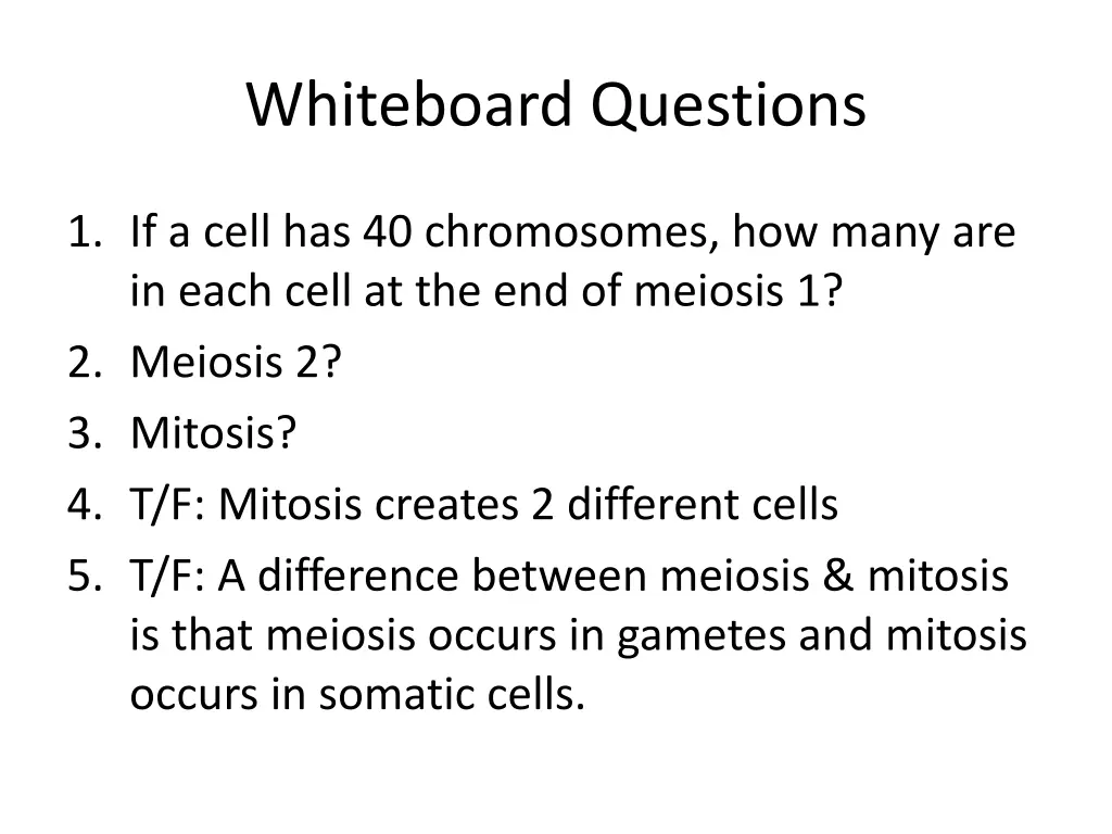 whiteboard questions