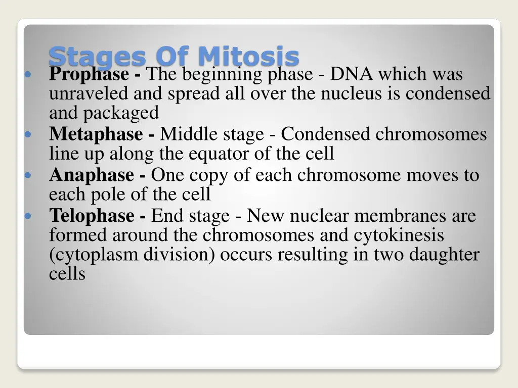 stages of mitosis prophase the beginning phase