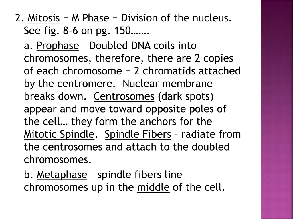 2 mitosis m phase division of the nucleus