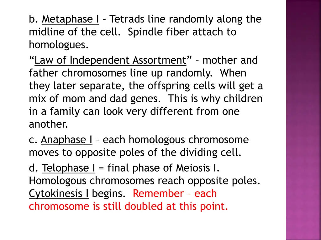 b metaphase i tetrads line randomly along