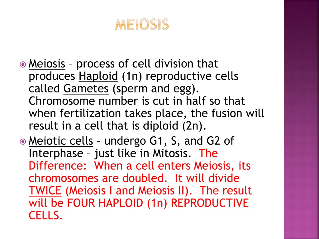 meiosis