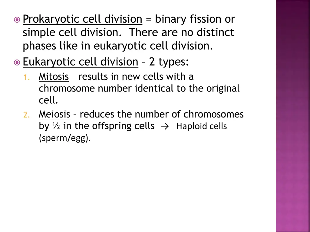 prokaryotic cell division binary fission